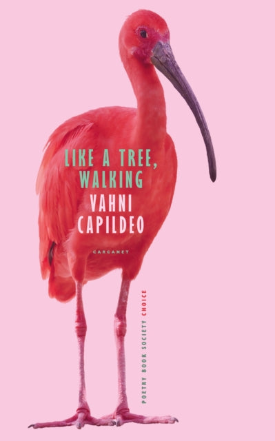Book cover of: Like a Tree, Walking. By: Vahni Capildeo