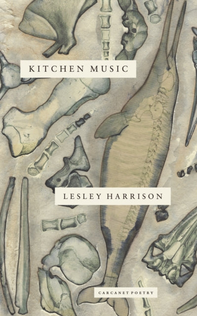 Book cover of: Kitchen Music. By: Kirsty Gunn