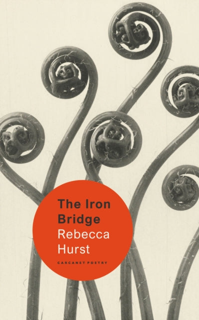 Book cover of: Iron Bridge. By: Rebecca Hurst