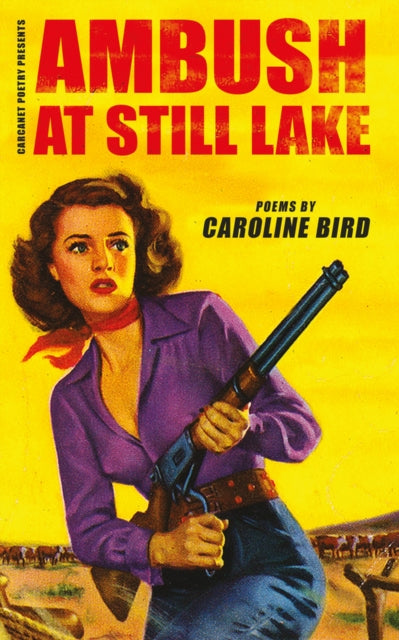 Book cover of: Ambush at Still Lake. By: Caroline Bird