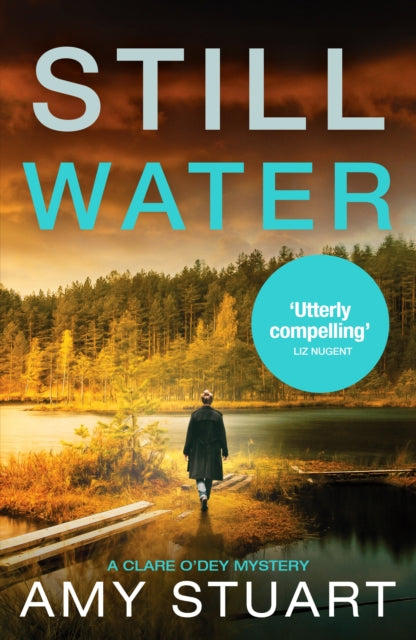 Book cover of: Still Water. By: Amy Stuart