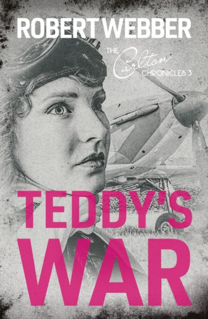Book cover of: Teddy's War. By: Robert Webber