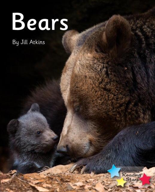 Book cover of: Bears. By: Jill Atkins