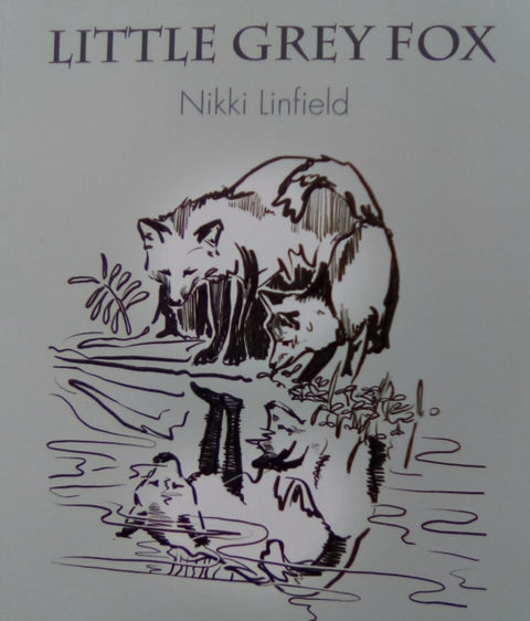 Little Grey Fox