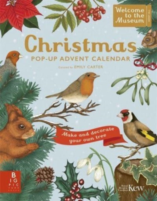 Book cover of: Welcome to the Museum: A Christmas Pop-Up Advent Calendar