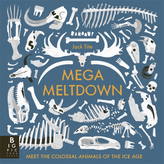 Book cover of: Mega Meltdown. By: Jack Tite