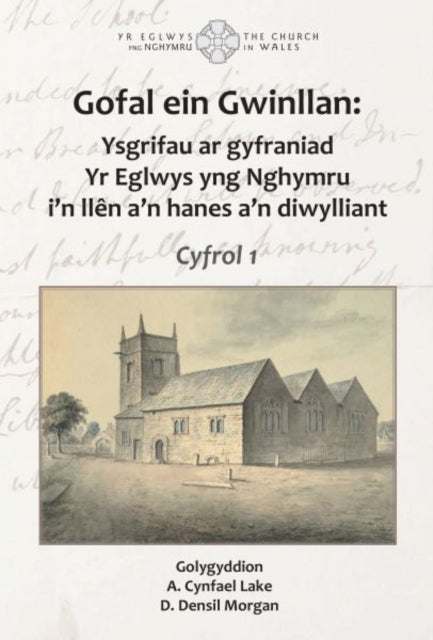 Book cover of: Gofal ein Gwinllan. By: A.Cynfael Lake
