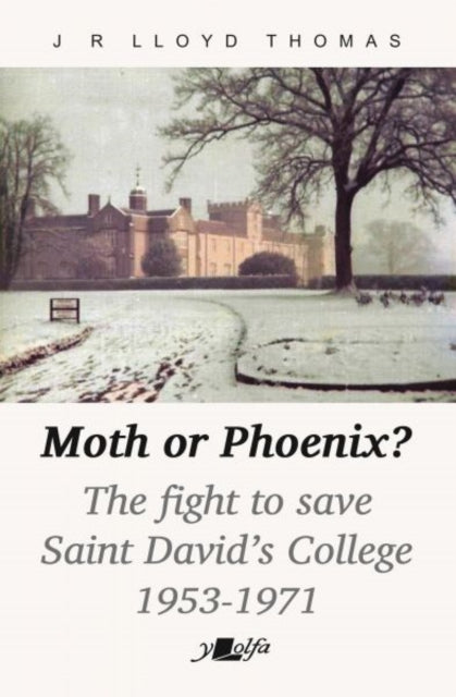 Moth or Phoenix?