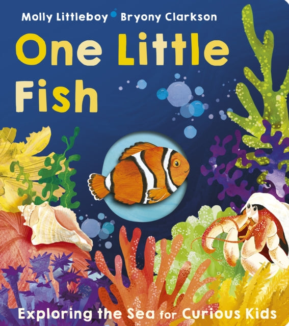 Book cover of: One Little Fish. By: Molly Littleboy