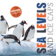 Book cover of: Sea Levels and Ice Caps. By: Emilie Dufresne; Amy Li