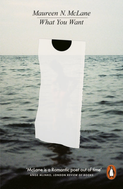 Book cover of: What You Want. By: Maureen N. McLane