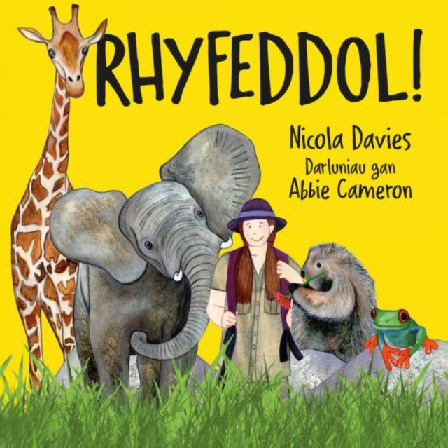 Book cover of: Rhyfeddol!. By: Nicola Davies