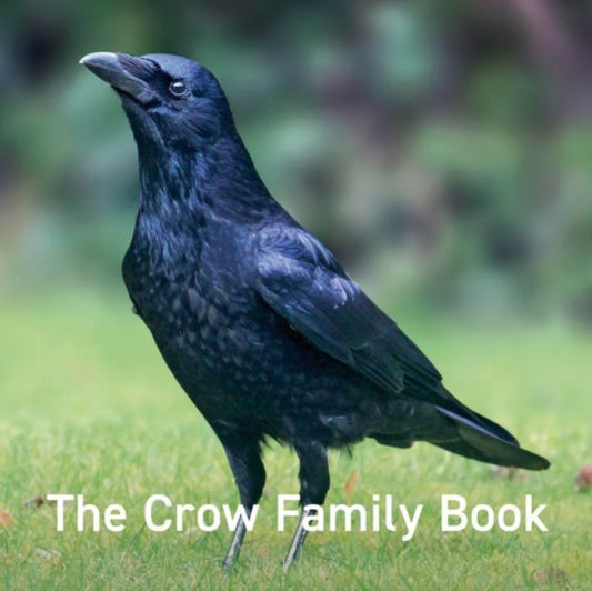 Book cover of: Nature Book Series: The Crow Family Book. By: Jane Russ