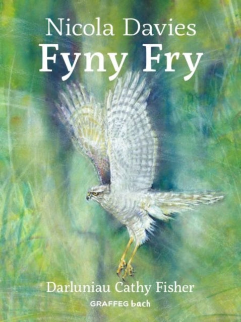 Book cover of: Fyny Fry. By: Nicola Davies