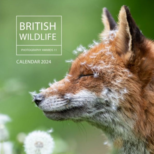 Book cover of: British Wildlife Photography Awards Calendar 2024