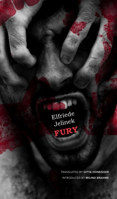 Book cover of: Fury. By: Elfriede Jelinek