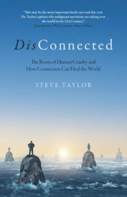 Book cover of: DisConnected. By: author of 'The Leap' and 'Spiritual Science' Steve Taylor 