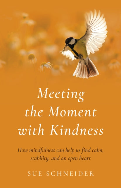 Book cover of: Meeting the Moment with Kindness. By: Sue Schneider