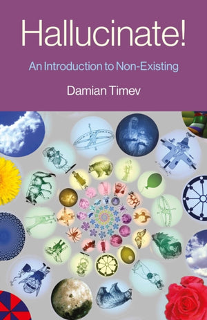 Hallucinate!, An Introduction to Non-Existing