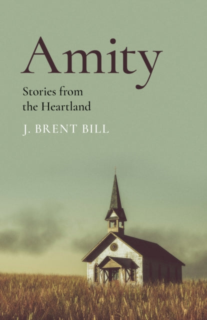 Book cover of: Amity. By: J. Brent Bill