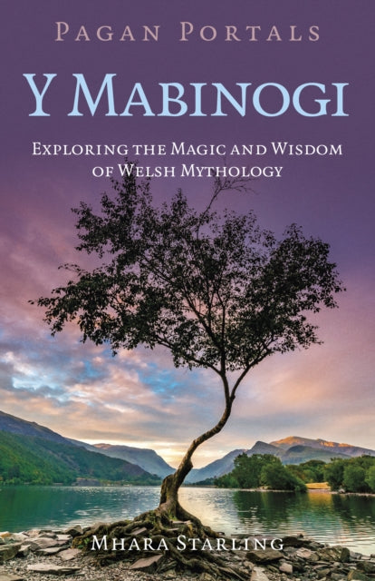 Book cover of: Pagan Portals  Y Mabinogi