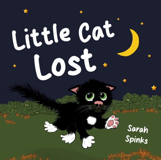 Book cover of: Little Cat Lost