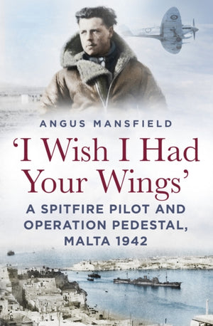 I Wish I Had Your Wings'
