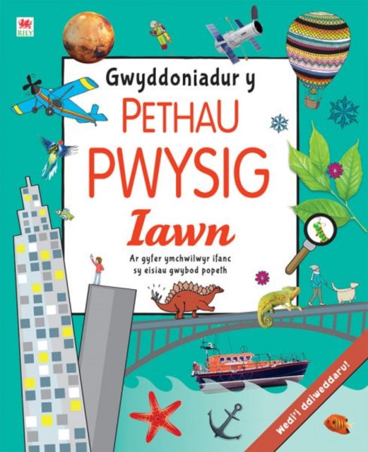 Book cover of: Gwyddoniadur y Pethau Pwysig Iawn. By: Siân Lewis