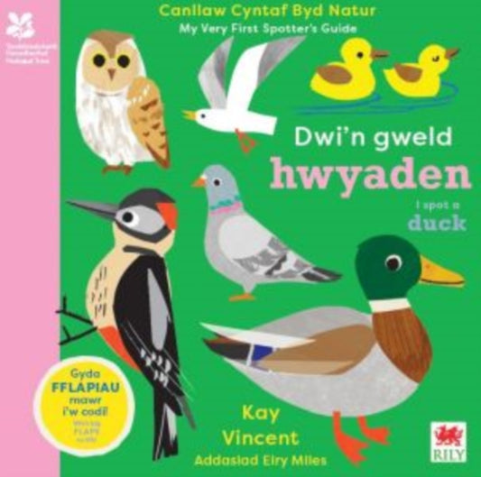 Book cover of: Dwi'n Gweld Hwyaden / I Spot a Duck