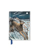 Angela Harding: Shooting Stars (Foiled Pocket Journal) 9781804173121 Flame Tree Studio