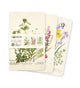 Book cover of: Royal Botanic Garden Edinburgh Set of 3 Mini Notebooks. By: Flame Tree Studio