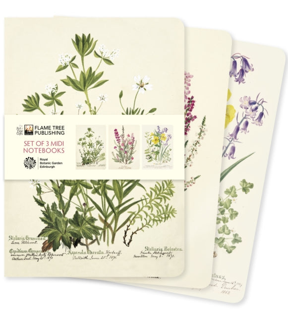 Royal Botanic Garden Edinburgh Set of 3 Midi Notebooks 9781804177778 Flame Tree Studio