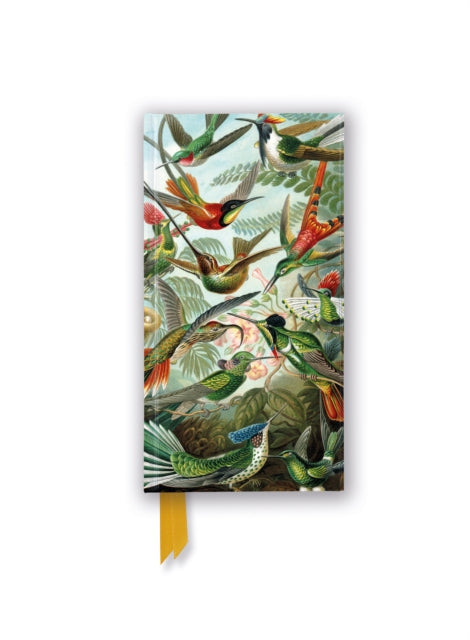 Book cover of: Ernst Haeckel: Hummingbirds (Foiled Slimline Journal)