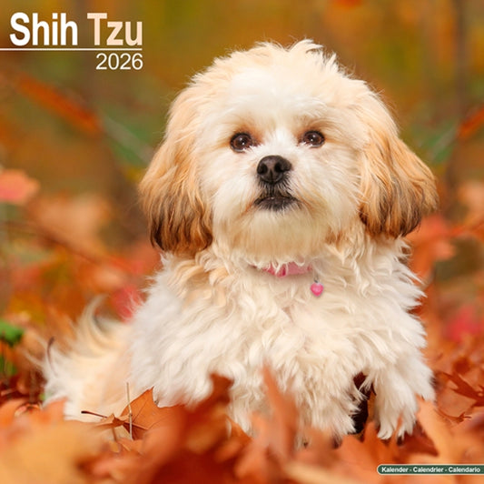 Book cover of: Shih Tzu Calendar 2026  Square Dog Breed Wall Calendar - 16 Month