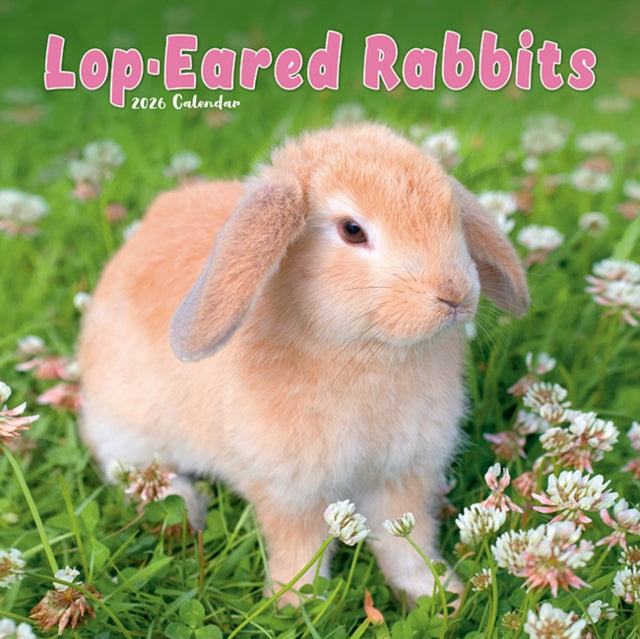Book cover of: Rabbits - Lop Eared Calendar 2026  Square Animal Wall Calendar - 16 Month