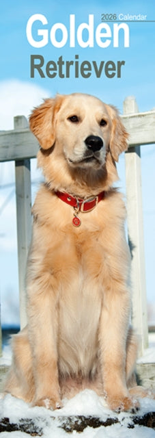 Book cover of: Golden Retriever Slim Calendar 2026  Dog Breed Slimline Calendar - 12 Month