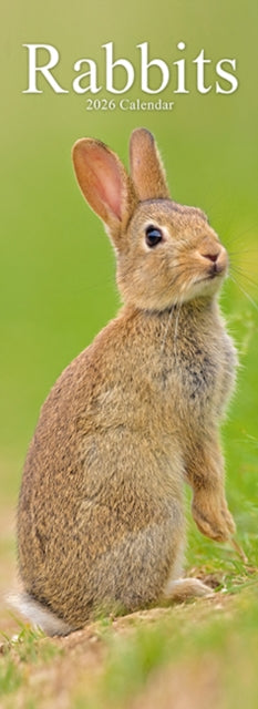 Book cover of: Rabbits Slim Calendar 2026  Cute Slimline Calendar - 12 Month