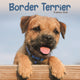Book cover of: Border Terrier Puppies Square Mini Calen