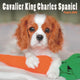 Book cover of: Cavalier King Charles Spaniel Puppies Sq