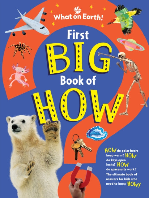 Book cover of: First Big Book of How. By: SYMES, SALLY