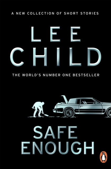 Book cover of: Safe Enough
