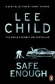 Book cover of: Safe Enough