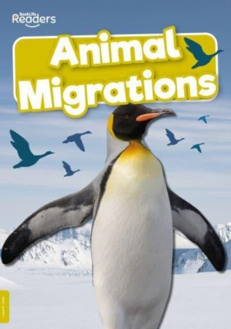 Book cover of: Animal Migrations. By: Harriet Brundle