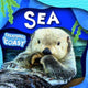 Book cover of: Sea