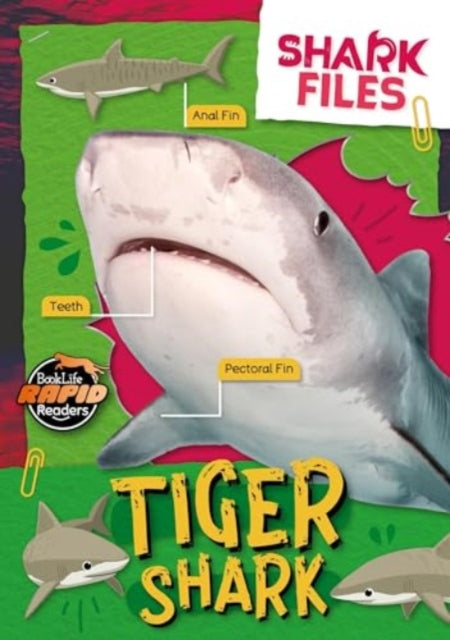 Book cover of: Tiger Shark. By: Robin Twiddy; E.C. Andrews; Amy Li