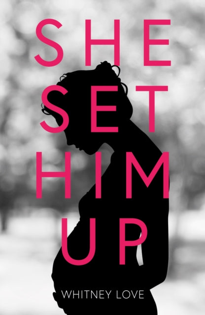Book cover of: She Set Him Up. By: Whitney Love