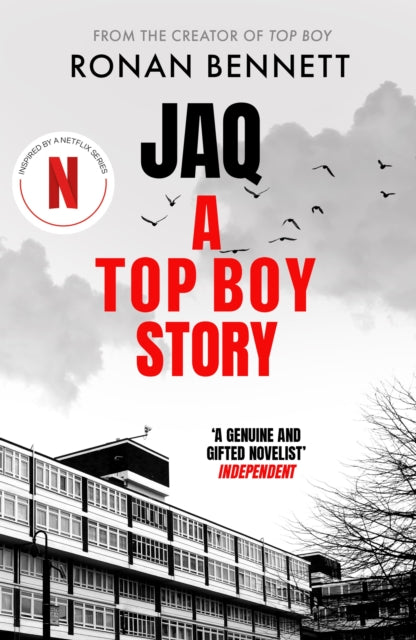 Book cover of: Jaq, A Top Boy Story. By: Ronan Bennett