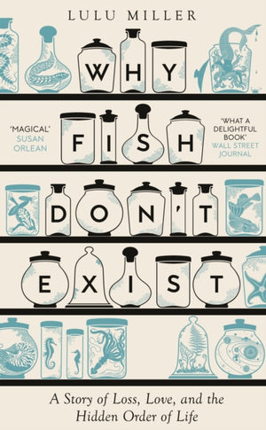 Why Fish Don't Exist, A Story of Finding Our Way in a Chaotic World