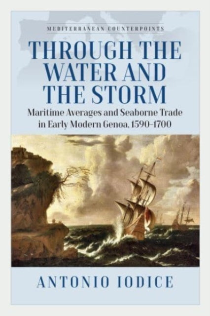 Book cover of: Through the Water and the Storm. By: Antonio Iodice