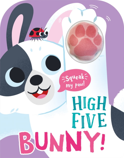 Book cover of: High Five Bunny! A count-and-squeak book.. By: Robin Baines